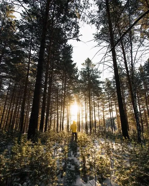 bks-steuerberater-akademiker-yellowguyproject